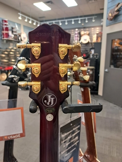 Epiphone Jerry Cantrell 2